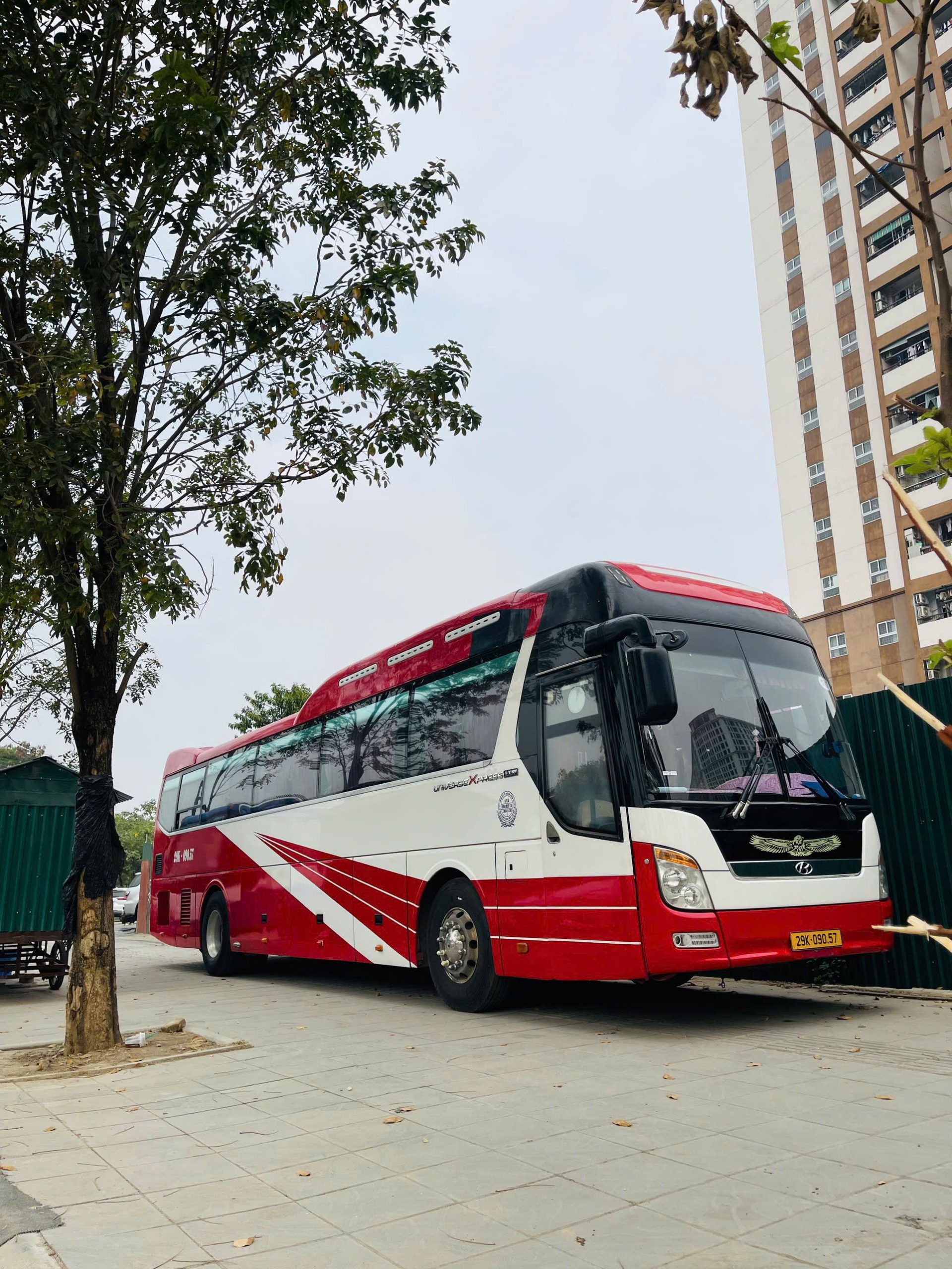 z7285684381298_28180c6fc5e288c53a56338d90d215c8